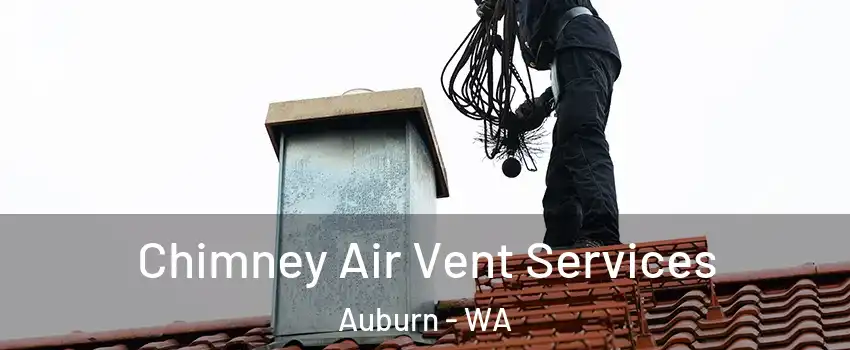 Chimney Air Vent Services Auburn - WA