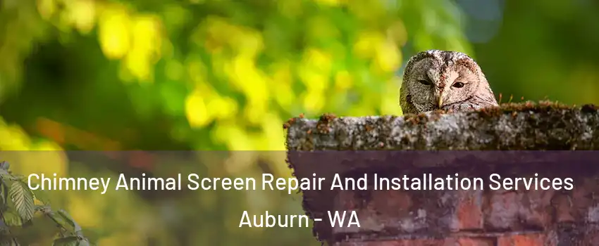  Chimney Animal Screen Repair And Installation Services Auburn - WA