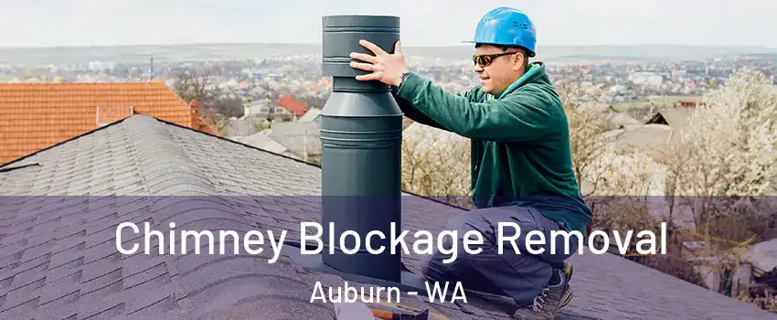  Chimney Blockage Removal Auburn - WA