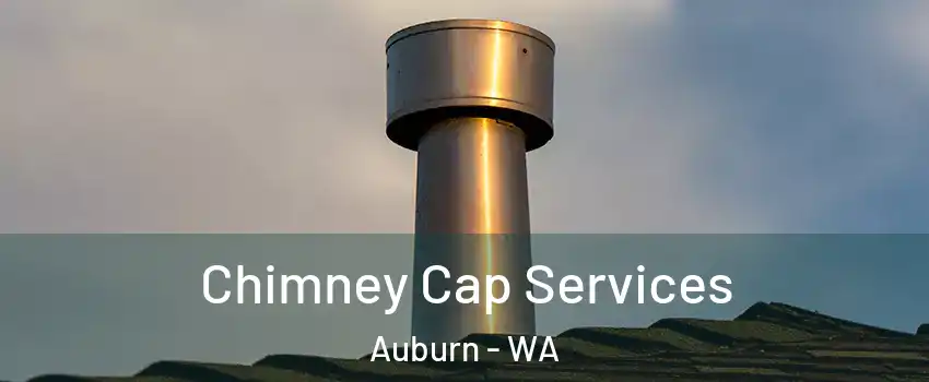 Chimney Cap Services Auburn - WA
