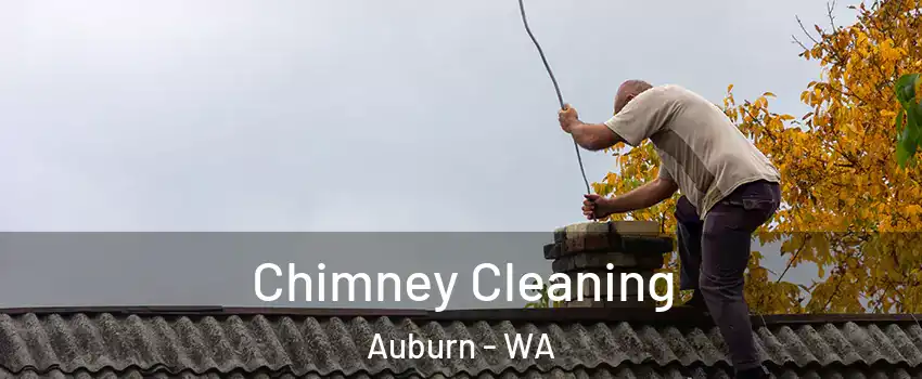  Chimney Cleaning Auburn - WA