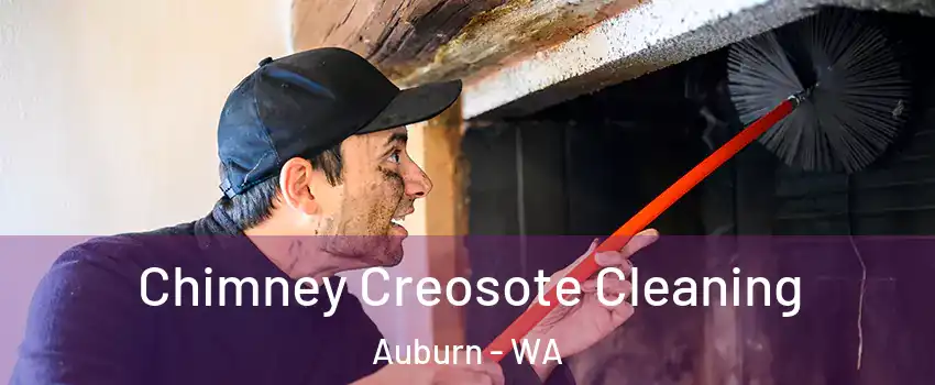  Chimney Creosote Cleaning Auburn - WA
