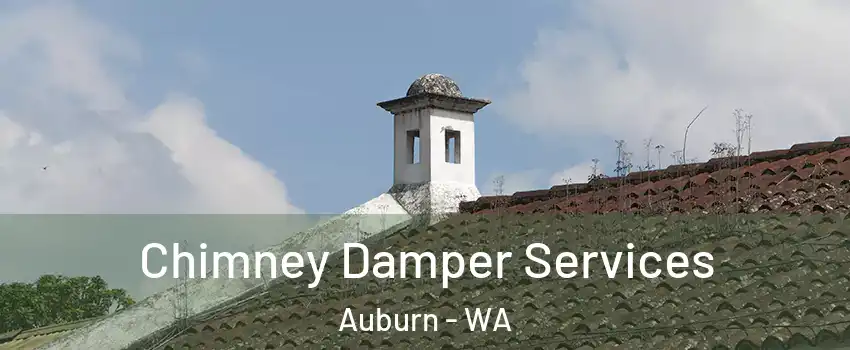  Chimney Damper Services Auburn - WA