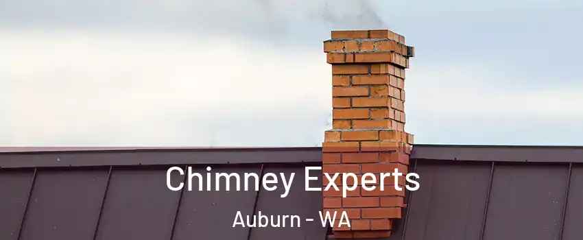 Chimney Experts Auburn - WA