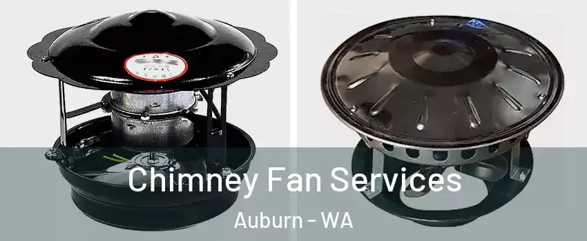 Chimney Fan Services Auburn - WA