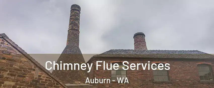  Chimney Flue Services Auburn - WA