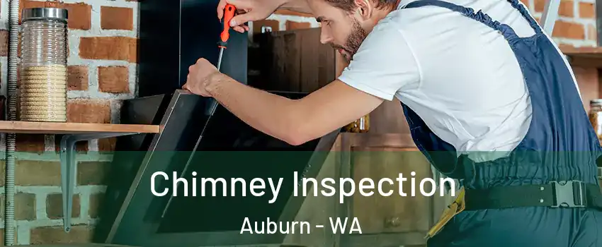  Chimney Inspection Auburn - WA
