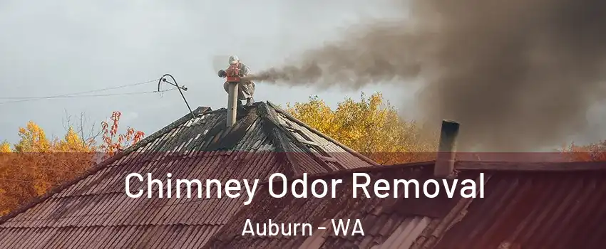  Chimney Odor Removal Auburn - WA
