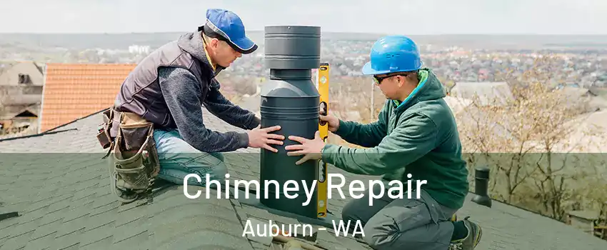  Chimney Repair Auburn - WA