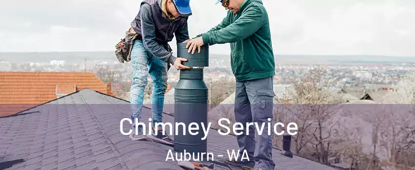  Chimney Service Auburn - WA