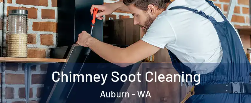  Chimney Soot Cleaning Auburn - WA
