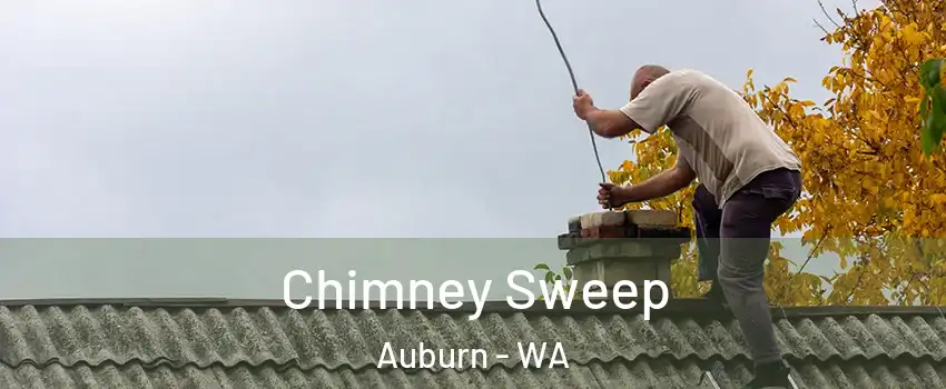  Chimney Sweep Auburn - WA