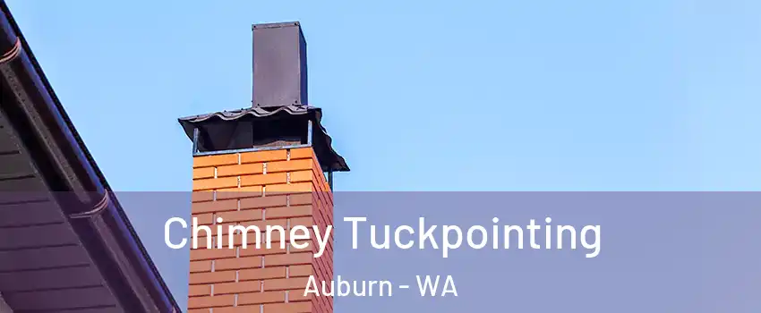  Chimney Tuckpointing Auburn - WA