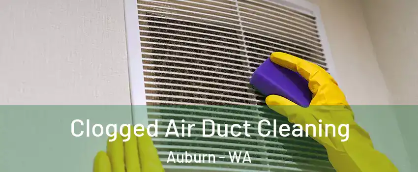  Clogged Air Duct Cleaning Auburn - WA