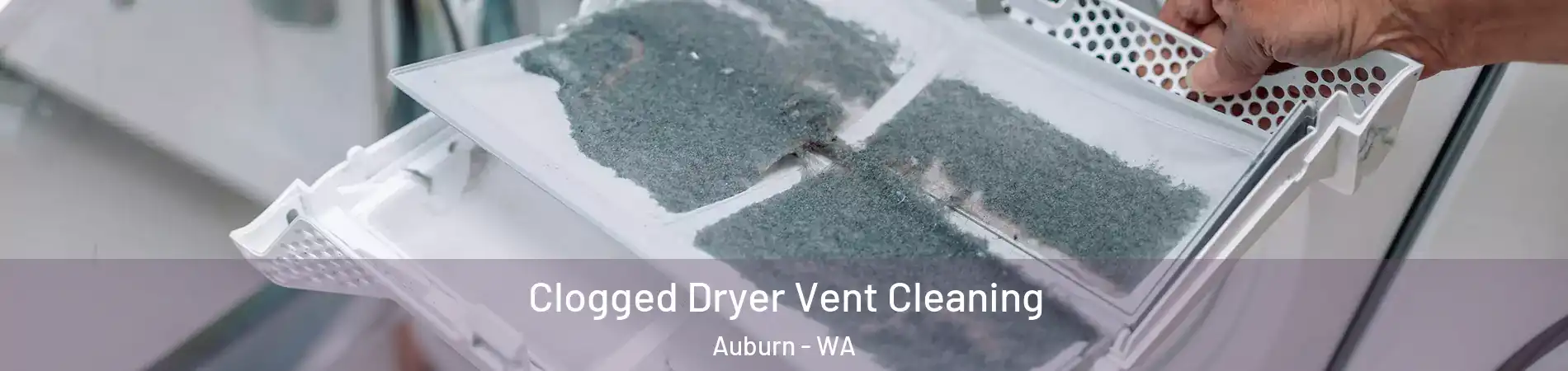  Clogged Dryer Vent Cleaning Auburn - WA