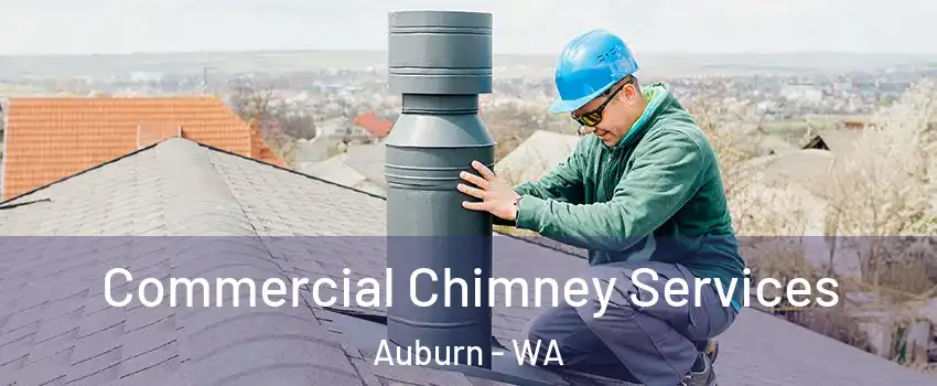  Commercial Chimney Services Auburn - WA