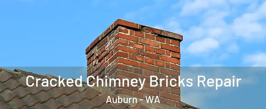  Cracked Chimney Bricks Repair Auburn - WA