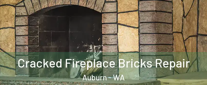  Cracked Fireplace Bricks Repair Auburn - WA
