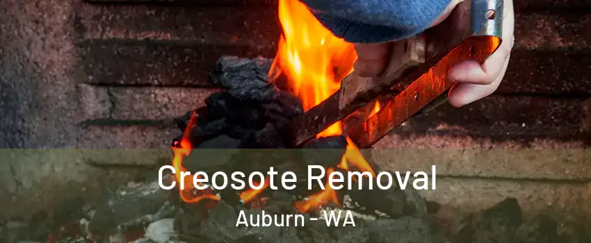 Creosote Removal Auburn - WA