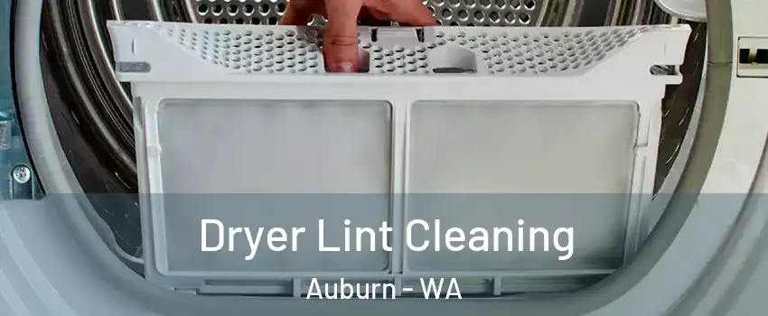  Dryer Lint Cleaning Auburn - WA