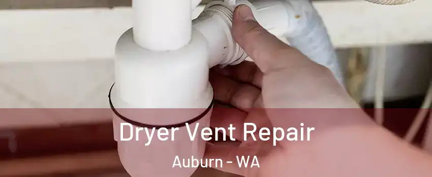  Dryer Vent Repair Auburn - WA