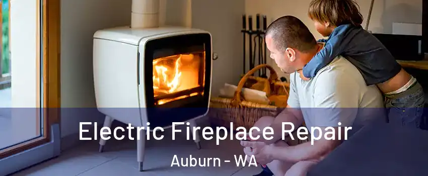 Electric Fireplace Repair Auburn - WA
