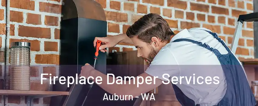  Fireplace Damper Services Auburn - WA