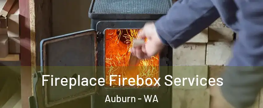  Fireplace Firebox Services Auburn - WA
