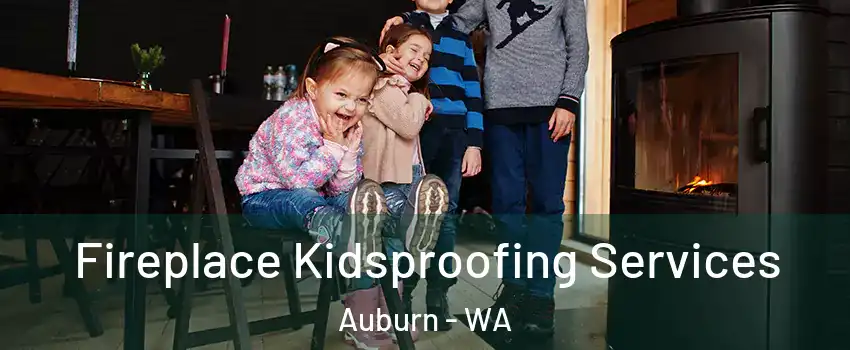  Fireplace Kidsproofing Services Auburn - WA