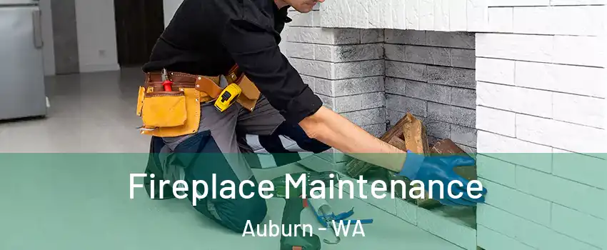  Fireplace Maintenance Auburn - WA