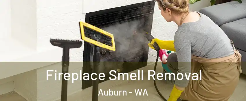  Fireplace Smell Removal Auburn - WA