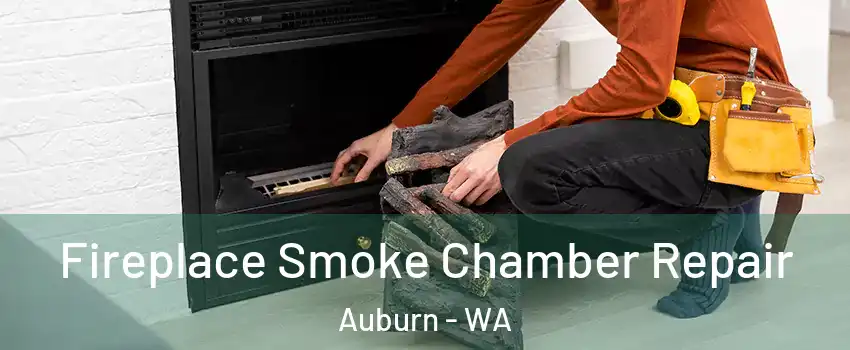  Fireplace Smoke Chamber Repair Auburn - WA