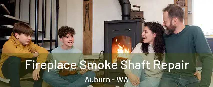  Fireplace Smoke Shaft Repair Auburn - WA