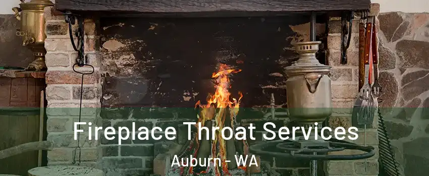  Fireplace Throat Services Auburn - WA