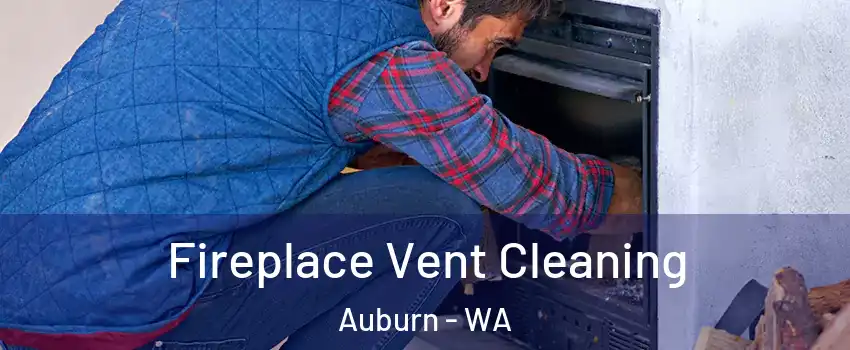 Fireplace Vent Cleaning Auburn - WA