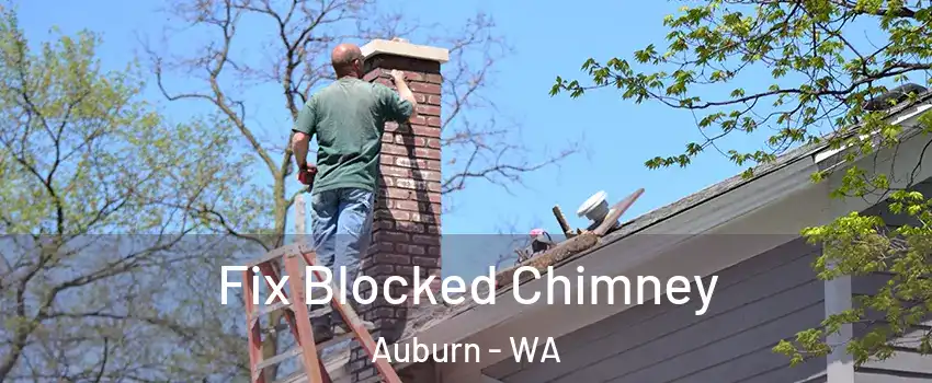  Fix Blocked Chimney Auburn - WA