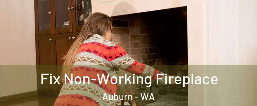  Fix Non-Working Fireplace Auburn - WA
