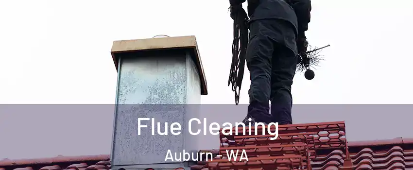  Flue Cleaning Auburn - WA