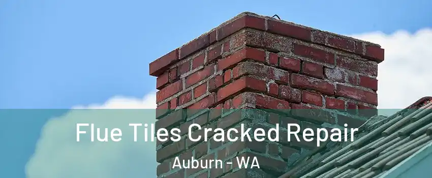  Flue Tiles Cracked Repair Auburn - WA