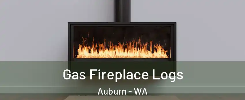  Gas Fireplace Logs Auburn - WA