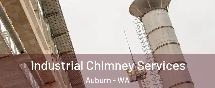  Industrial Chimney Services Auburn - WA