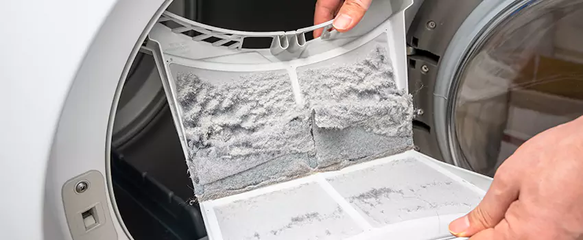 Best Dryer Lint Removal Company in Auburn, Washington