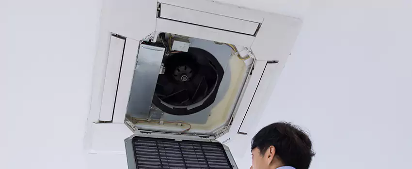 Benefits of Professional Air Duct Cleaning in Auburn, Washington