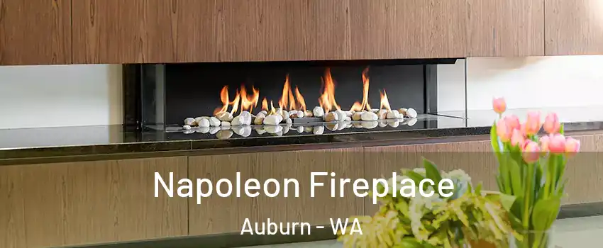  Napoleon Fireplace Auburn - WA