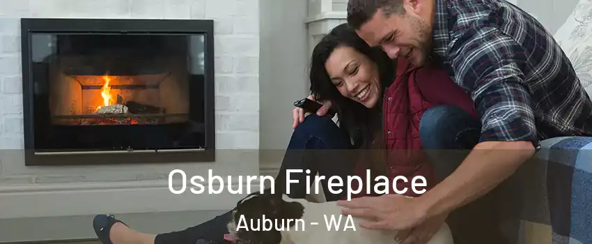  Osburn Fireplace Auburn - WA