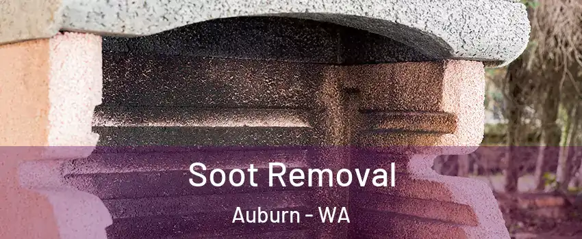  Soot Removal Auburn - WA