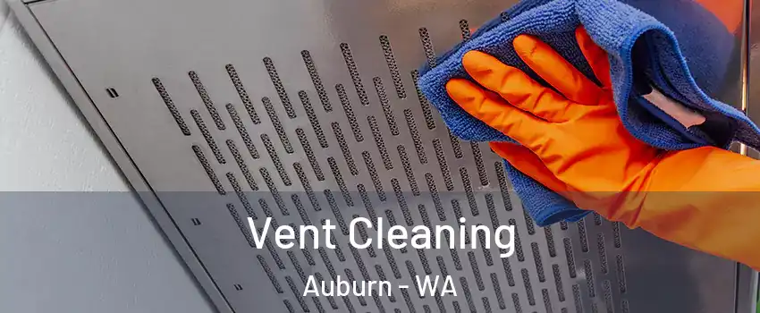  Vent Cleaning Auburn - WA