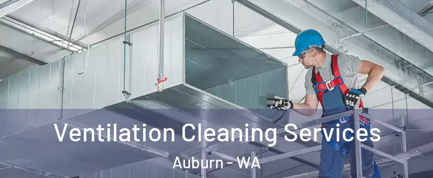  Ventilation Cleaning Services Auburn - WA